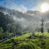 Voir la vidéo de Centinela : une forêt tropicale emblématique d’Équateur reprend vie