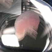 Voir la vidéo de Une avancée majeure en bioimpression
