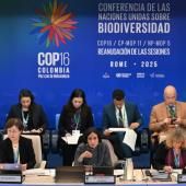 COP16 biodiversité : l&#039;accord financier tant attendu arraché de justesse à Rome