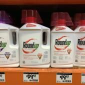 Bayer doute de l’avenir de son herbicide au glyphosate face aux poursuites judiciaires 