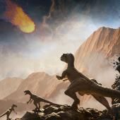Voir la vidéo de Extinction des dinosaures : les scientifiques ne sont pas d’accord
