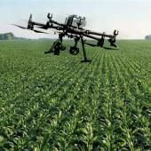 Voir la vidéo de Quand l’agriculture passe à l’ère des données