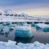 Au Groenland, la glace a fondu 17 fois plus vite que la moyenne en mai, selon le réseau WWA