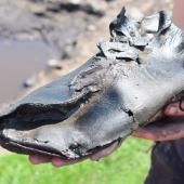 Voir la vidéo de Des chaussures géantes découvertes dans un fort romain ! 