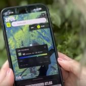 Voir la vidéo de Inédit ! La première cartographie du réseau mondial de champignons révèle une biodiversité méconnue