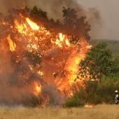En pleine canicule, l&#039;Europe en surchauffe lutte contre les feux