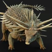 Un étrange dinosaure, recouvert d&#039;une armure avec des pointes, découvert au Maroc