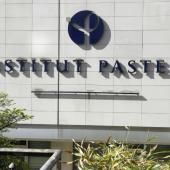 Cancers colorectaux chez les jeunes : le microbiote intestinal scruté à l&#039;Institut Pasteur