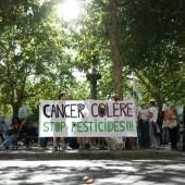 &quot;Justice pour le vivant&quot; : l&#039;État condamné à revoir les autorisations de pesticides