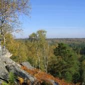  À Fontainebleau, une IA sobre en énergie s&#039;entraîne à détecter les feux de forêt