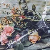 13 novembre 2015 : que dit la science des attentats ?