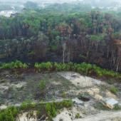 Brésil : la forêt amazonienne amputée d&#039;une surface équivalente à l&#039;Espagne en 40 ans 