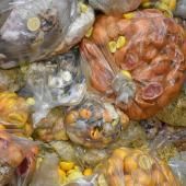  L&#039;UE s&#039;attaque au gaspillage alimentaire et à la fast fashion 