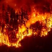 Les feux de forêt détériorent la qualité de l’air à des milliers de kilomètres, selon l’ONU 