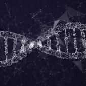 Voir la vidéo de Toute la mémoire du monde sur ADN