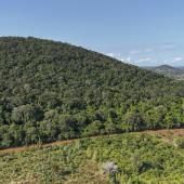 Au Kenya, cinq petits villages et une forêt au cœur de la course mondiale aux terres rares 