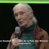 Voir la vidéo de Hommage à la primatologue britannique Jane Goodall