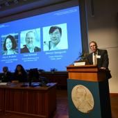 Le Nobel de médecine récompense la découverte des « gardiens du système immunitaire »