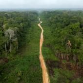 Le Brésil enregistre la plus forte baisse de ses émissions de gaz à effet de serre en 15 ans