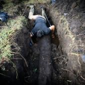 En Loire-Atlantique, des chênes enfouis témoins de l&#039;histoire du climat