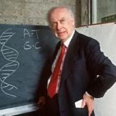 James Watson, pionnier de l&#039;ADN à la réputation ternie 