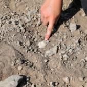 Un mystérieux pied fossilisé découvert en Éthiopie met sous les projecteurs un contemporain de Lucy