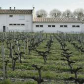 Plus de 1,7 million d'élèves soumis à une forte « pression pesticide », selon un baromètre