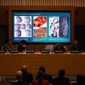 Un « immense » ensemble d’empreintes de dinosaures découvert en Italie