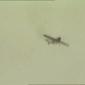 Voir la vidéo de Big bug (1997)