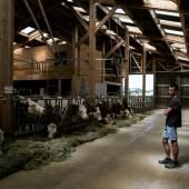  Dermatose : Savoie, Jura puis Sud-Ouest, les différentes vagues de l'épizootie 