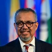 Vieux remèdes et IA : l'OMS recherche des preuves d'efficacité de la médecine traditionnelle 