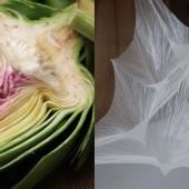 Voir la vidéo de Comment les plis du vivant inspirent-ils les matériaux du futur ?