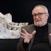 Voir la vidéo de Des fossiles vieux de 773 000 ans éclairent nos origines !