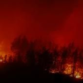 Malgré une vague de froid, janvier 2026 est dans le top 5 des mois de janvier les plus chauds de l'Histoire