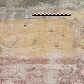 Les graffiti de Pompéi mis en lumière par la science