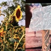 Voir la vidéo de Des matériaux vivants sur la Lune