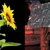 Voir la vidéo de Des matériaux « vivants » sur la Lune