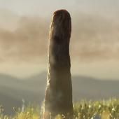 Voir la vidéo de Le mystère des prototaxites