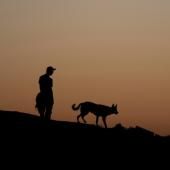 Les chiens nous accompagnent depuis 16 000 ans