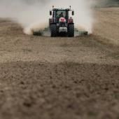 Cadmium : la dépollution complexe des sols agricoles