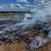 Brésil : la déforestation sous un seuil historique en 2025 
