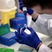 Première transmission entre humains de la bactérie de la dermatophilose