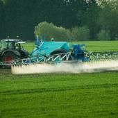  Acétamipride et flupyradifurone: comment deux pesticides interdits vont être réintroduits