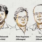 Le Nobel de médecine récompense un trio américano-allemand pour leurs travaux sur la mémoire 