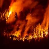 Climat: quinze jeunes s'attaquent à l'État canadien dans un procès inédit