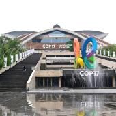 A la COP17, haro sur les subventions aux activités néfastes à la biodiversité 