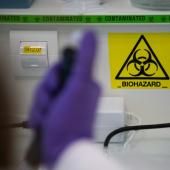 Virus Shamonda : première détection chez un humain, en France, pas de risque sanitaire global identifié 