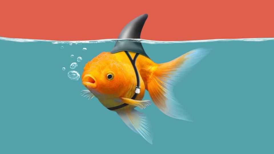 illustration fake trucage