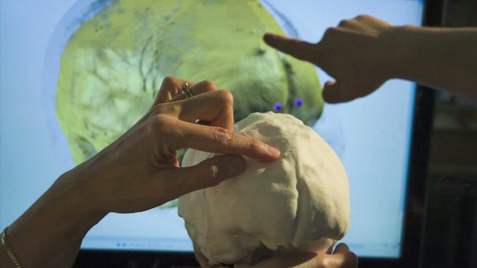 Cro-Magnon avait-il un plus petit cerveau ?