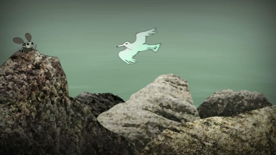 I comme île